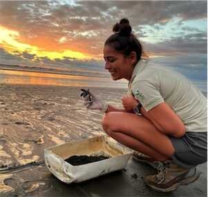 Aliore | Sea turtle conservation in Costa Rica