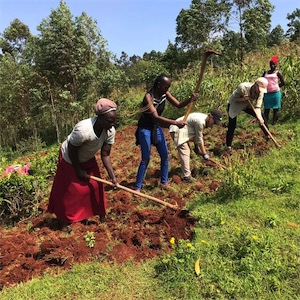 Aliore | Bénévole dans un écovillage au Kenya
