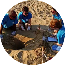 écovolontariat voyage aliore