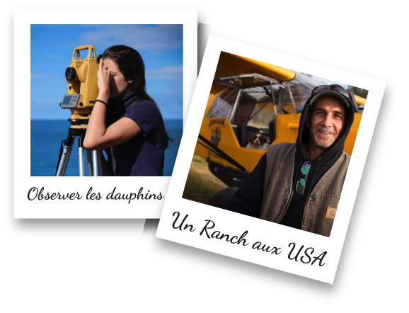 Poterie maroc aliore