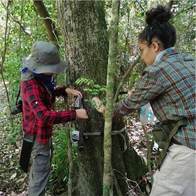 Eco-Volunteering in Paraguay: Volunteer at Ybycuí National Park