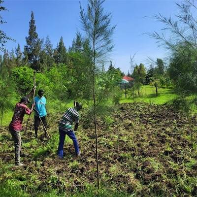 Volunteer in a community resource centre in KENYA