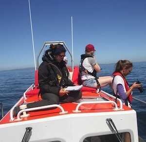 Aliore | Bénévole à Tenerife sur un projet de protection des baleines et des dauphins<br>