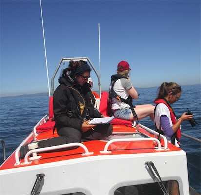Aliore | Bénévole à Tenerife sur un projet d'observation des baleines et des dauphins<br>
