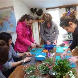 Aliore | Edible Wild plants workshop, midway between Hérault and Tarn region