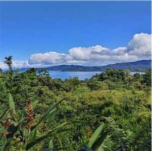 Aliore | Ecovolontariat au Costa Rica : Développement durable et action climatique