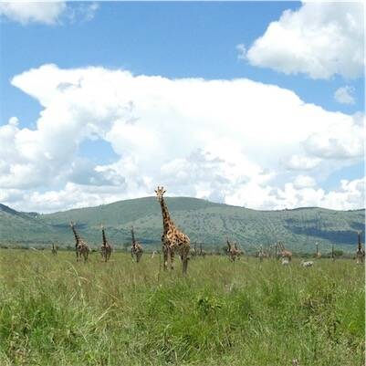 Volunteer in a community resource centre in KENYA