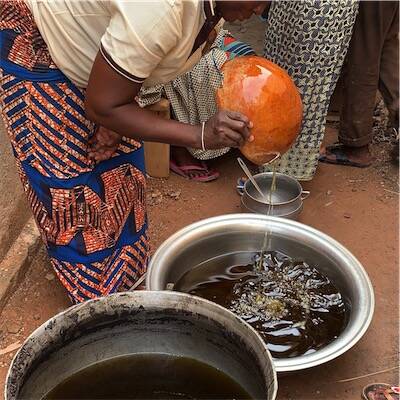 Shea Butter Making Workshop in Benin