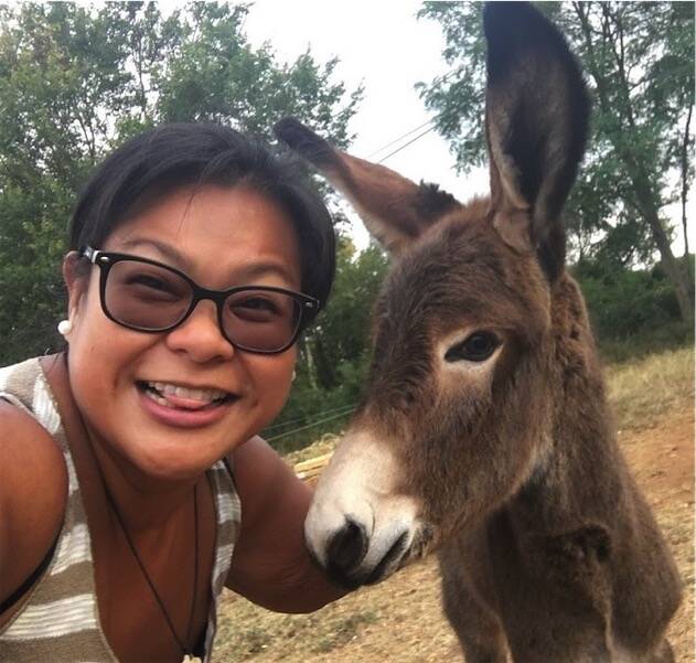 Volunteer in France on a Green Tourism Project and live with a Host family