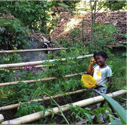 Aliore | Bénévole sur un projet de développement durable à Madagascar