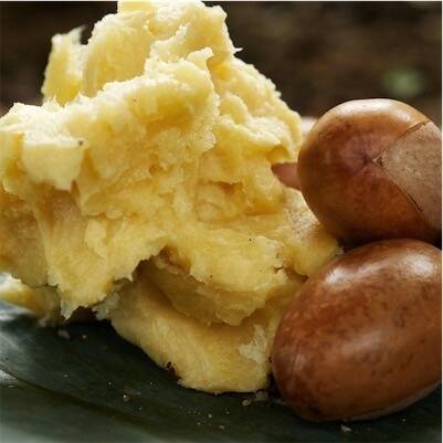 Shea Butter Making Workshop in Benin