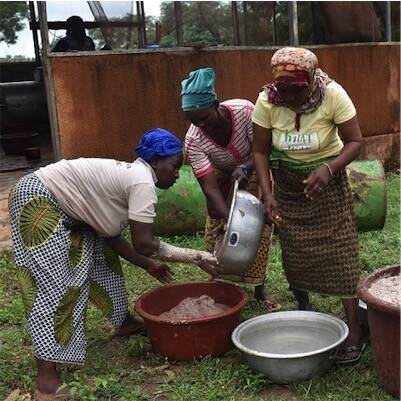 Shea Butter Making Workshop in Benin