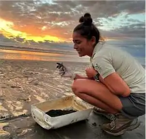 Aliore | Bénévole pour la protection des tortues marines au Costa Rica