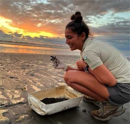 Aliore | Bénévole pour la protection des tortues marines au Costa Rica