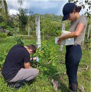 Aliore | Ecovolontariat au Costa Rica : Développement durable et action climatique