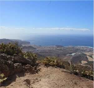 Aliore | Bénévole à Tenerife sur un projet de protection des baleines et des dauphins<br>
