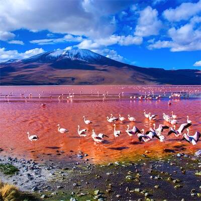 aliore voyage participatif montpellier