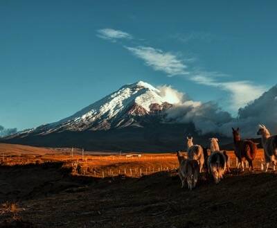 aliore voyage participatif montpellier
